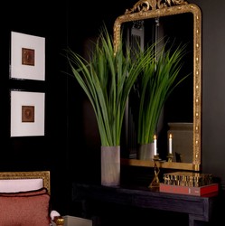 Casa Padrino specchio barocco di lusso in mogano oro antico A. 211 cm