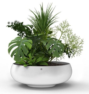 Casa Padrino maceta de lujo blanco mate Ø 94 x A. 31 cm