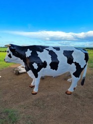 Casa Padrino XXL decorative sculpture cow white / black 240 cm - Life size garden figure