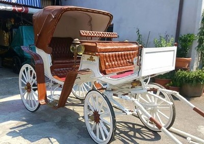 Baroque Carriage Horse Carriage Wedding Carriage White Brown