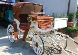 Carrozza nuziale barocco bianco marrone