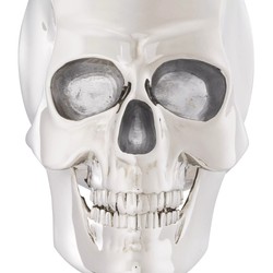 Philipp Plein calavera decorativa de diseño de lujo platino / blanco A. 20 cm - escultura de calavera hecha con base de mármol