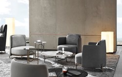 Luxury Living Room & Hotel Armchair Gray Bronze