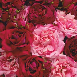 Casa Padrino luxury decorative bouquet of roses red / pink / green Ø 70 cm - Luxury quality