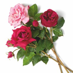 Casa Padrino luxury decorative bouquet of roses red / pink / green Ø 70 cm - Luxury quality