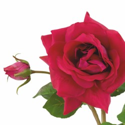 Casa Padrino luxury decorative bouquet of roses red / pink / green Ø 70 cm - Luxury quality