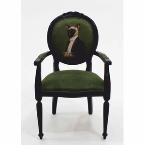 Casa Padrino chaise de salle à manger baroque de luxe en velours avec accoudoirs domestique chat vert / noir