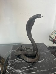Casa Padrino Scultura in Bronzo Cobra 28 cm – Statuetta Serpente Bronzo Antico Bronzo Scuro – A 28 cm L 10 cm P 15 cm Casa Padrino Scultura in Bronzo Cobra 28 cm – Statuetta Serpente Bronzo Antico Bronzo Scuro – A 28 cm L 10 cm P 15 cm