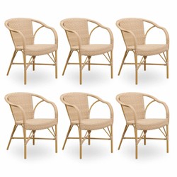 Luxus Garten Terrassen Stuhl 6er Set mit Armlehnen Beige