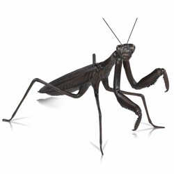Casa Padrino Sculpture de Mante Religieuse en Bronze de Luxe 56 cm - Figurine Décorative