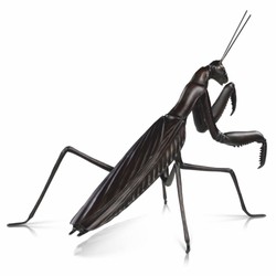 Casa Padrino Sculpture de Mante Religieuse en Bronze de Luxe 56 cm - Figurine Décorative