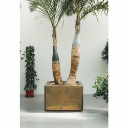 Casa Padrino Luxury Flower Pot Weathered Brass 70 cm - Square Plant Pot