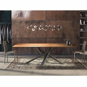 Casa Padrino Mesa de Comedor de Lujo Marrón / Gris 220 cm - Muebles de Comedor de Lujo