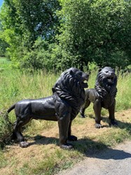 Casa Padrino conjunto de esculturas decorativas de bronce de lujo leones 193 cm - Figuras de jardín