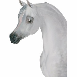 Casa Padrino Luxus Deko Porzellan Skulptur Araberpferd 46 cm - Handgefertigt