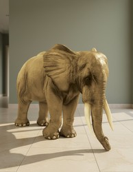 Casa Padrino escultura decorativa de lujo Elefant A. 225 cm - Escultura de jardín enorme - Escultura de tamaño natural - Escultura decorativa XXL Casa Padrino escultura decorativa de lujo Elefant A. 225 cm - Escultura de jardín enorme - Escultura de tamaño natural - Escultura decorativa XXL