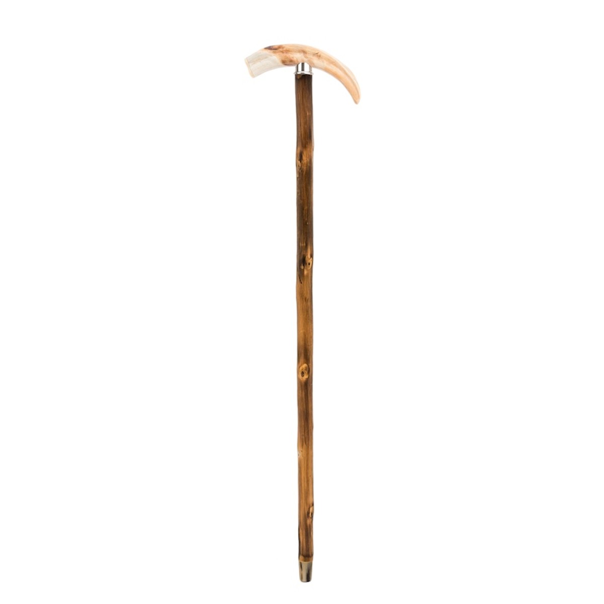 Casa Padrino Bastón de lujo con empuñadura de colmillo de facóquero - Hecho a mano en Italia, madera del Congo, 93 cm Casa Padrino Bastón de lujo con empuñadura de colmillo de facóquero - Hecho a mano en Italia, madera del Congo, 93 cm