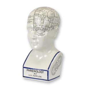 Casa Padrino Cabeza Frenológica de Porcelana de Lujo Blanco / Azul 12 x 14,3 x H. 30,4 cm - Busto Decorativo - Pieza de Gabinete - Decoración Vintage Casa Padrino Cabeza Frenológica de Porcelana de Lujo Blanco / Azul 12 x 14,3 x H. 30,4 cm - Busto Decorativo - Pieza de Gabinete - Decoración Vintage