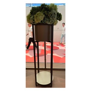 Casa Padrino Luxus Blumenständer Schwarz / Messing Ø 50 x H. 145 cm - Blumenständer mit Ulmenfurnier - Moderne Wohnzimmer Möbel - Luxus Qualität
