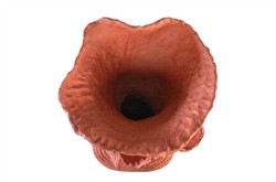 Casa Padrino Escultura Decorativa de Lujo Figura Femenina Color Terracota 40 x 35 x H. 75 cm - Figura Femenina Estilizada de Terracota Modelada a Mano - Accesorios Decorativos de Lujo Casa Padrino Escultura Decorativa de Lujo Figura Femenina Color Terracota 40 x 35 x H. 75 cm - Figura Femenina Estilizada de Terracota Modelada a Mano - Accesorios Decorativos de Lujo