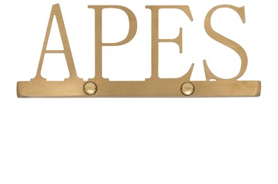 Casa Padrino Luxury Decorative Object Gold 16.5 x 1.1 x H. 6 cm - Stainless Steel Lettering Apes in Brushed Gold Look - Luxury Deco Accessories