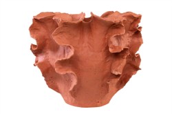 Casa Padrino Cuenco de Lujo Natural 40 x 40 x H. 30 cm - Gran Cuenco de Forma Orgánica Reef de Terracota - Accesorios Decorativos de Lujo Casa Padrino Cuenco de Lujo Natural 40 x 40 x H. 30 cm - Gran Cuenco de Forma Orgánica Reef de Terracota - Accesorios Decorativos de Lujo
