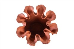 Casa Padrino Cuenco de Lujo Natural 40 x 40 x H. 30 cm - Gran Cuenco de Forma Orgánica Reef de Terracota - Accesorios Decorativos de Lujo Casa Padrino Cuenco de Lujo Natural 40 x 40 x H. 30 cm - Gran Cuenco de Forma Orgánica Reef de Terracota - Accesorios Decorativos de Lujo