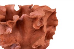Casa Padrino Cuenco de Lujo Natural 40 x 40 x H. 30 cm - Gran Cuenco de Forma Orgánica Reef de Terracota - Accesorios Decorativos de Lujo Casa Padrino Cuenco de Lujo Natural 40 x 40 x H. 30 cm - Gran Cuenco de Forma Orgánica Reef de Terracota - Accesorios Decorativos de Lujo