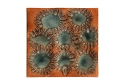 Casa Padrino Bandeja de Lujo Naranja 31,5 x 32,5 x H. 3 cm - Bandeja Decorativa y Relieve de Pared en Forma de Anémona de Fina Porcelana - Accesorios Decorativos de Lujo Casa Padrino Bandeja de Lujo Naranja 31,5 x 32,5 x H. 3 cm - Bandeja Decorativa y Relieve de Pared en Forma de Anémona de Fina Porcelana - Accesorios Decorativos de Lujo