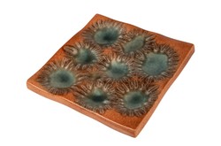 Casa Padrino Bandeja de Lujo Naranja 31,5 x 32,5 x H. 3 cm - Bandeja Decorativa y Relieve de Pared en Forma de Anémona de Fina Porcelana - Accesorios Decorativos de Lujo Casa Padrino Bandeja de Lujo Naranja 31,5 x 32,5 x H. 3 cm - Bandeja Decorativa y Relieve de Pared en Forma de Anémona de Fina Porcelana - Accesorios Decorativos de Lujo