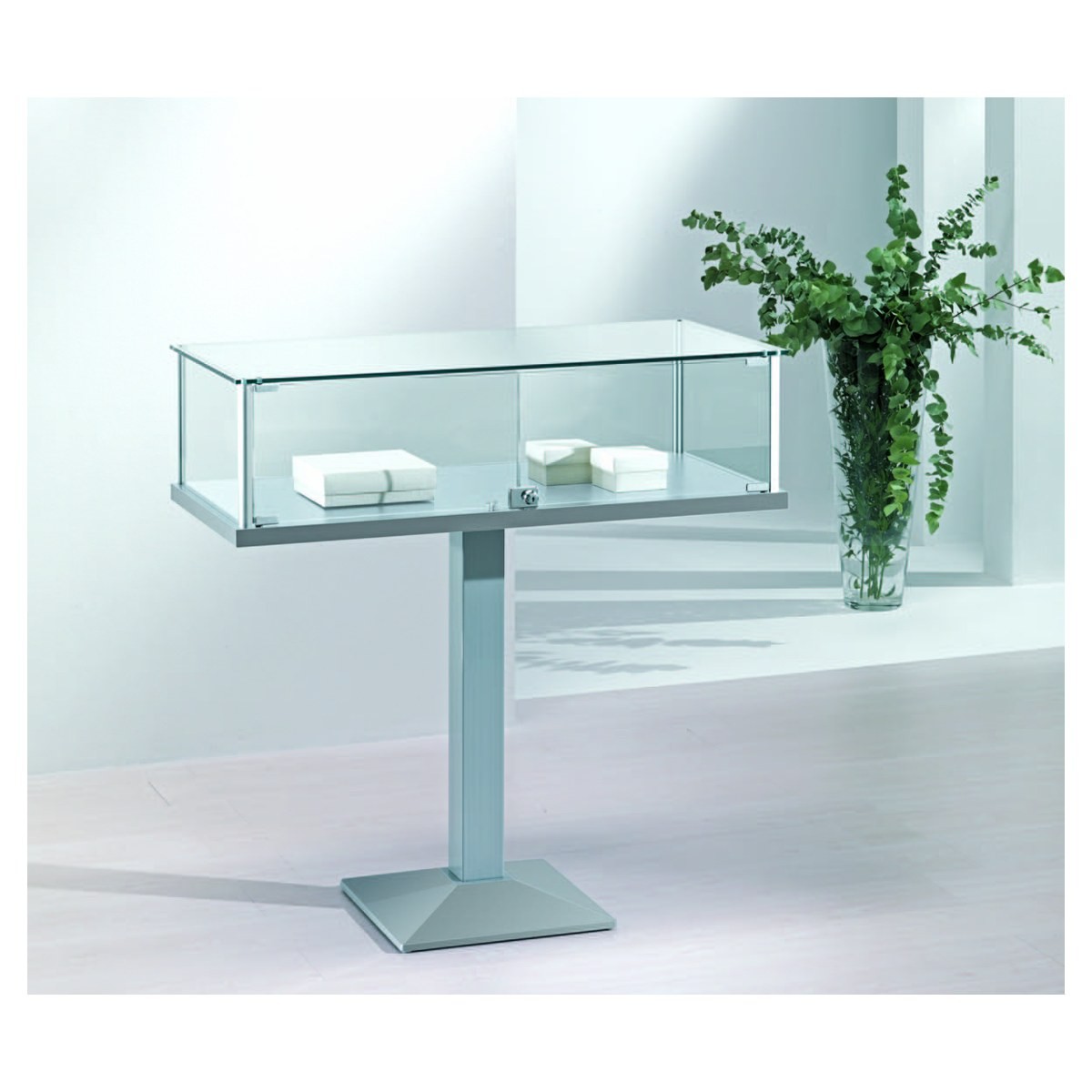 Casa Padrino Luxus Präsentationsvitrine 160 x 80 cm H. 26 cm - Ladeneinrichtung - Boutique Möbel - Made in Italy