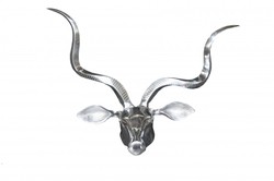 Wandgeweih Aluminium Schädel Hirsch Geissbock deer antler skull aluminium decoration dekoration Wandgeweih Aluminium Schädel Hirsch Geissbock deer antler skull aluminium decoration dekoration