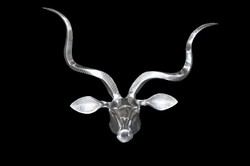 Wandgeweih Aluminium Schädel Hirsch Geissbock deer antler skull aluminium decoration dekoration Wandgeweih Aluminium Schädel Hirsch Geissbock deer antler skull aluminium decoration dekoration