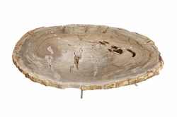 Casa Padrino Luxury Art Deco Designer Coffee Table made of Petrified Wood - Living Room Table Polished Stainless Steel - 110-120 x 65-85 x H. 35 cm