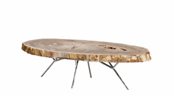 Casa Padrino Luxury Art Deco Designer Coffee Table made of Petrified Wood - Living Room Table Polished Stainless Steel - 110-120 x 65-85 x H. 35 cm