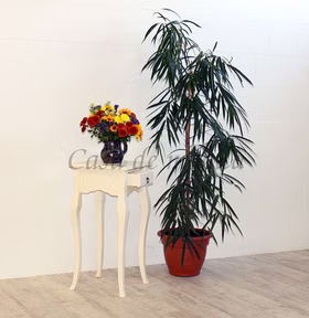 Massivholz Ecktisch mit schublade 39x80x39cm VENEZIA Pappel massiv creme Casa de mobila Goslar