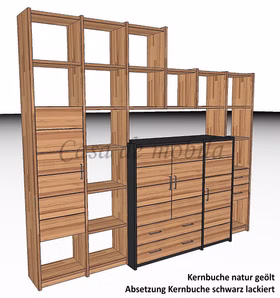 Regalwand Bücherregal stollenwand schmal CONTRA Buche massiv geölt schwarz casademobila Regalwand Bücherregal stollenwand schmal CONTRA Buche massiv geölt schwarz casademobila