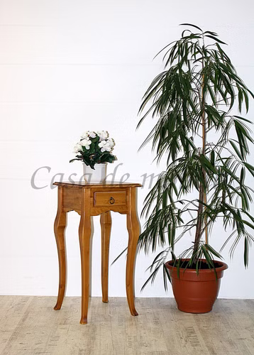 Massivholz Blumentisch 39x80x39cm VENEZIA Pappel massiv honigfarben lackiert Casa de mobila Goslar Massivholz Blumentisch 39x80x39cm VENEZIA Pappel massiv honigfarben lackiert Casa de mobila Goslar