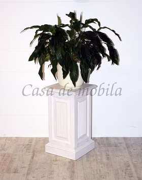 Pinienholz Blumenständer Blumensäule Landhaus höhe 70 cm PINEA Pinie massiv weiss casademobila Goslar Pinienholz Blumenständer Blumensäule Landhaus höhe 70 cm PINEA Pinie massiv weiss casademobila Goslar