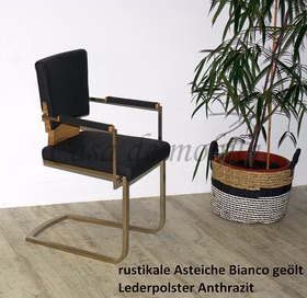 Armlehnstuhl Freischwinger Siro 56x87x56cm Leder Metallgestell nickelfarben Casademobila Goslar Armlehnstuhl Freischwinger Siro 56x87x56cm Leder Metallgestell nickelfarben Casademobila Goslar