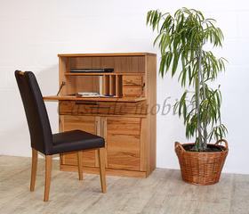 Massivholz Büroschrank 88x114x40cm PALERMO Kernbuche massiv natur geölt in Goslar bei Casa de mobila Massivholz Büroschrank 88x114x40cm PALERMO Kernbuche massiv natur geölt in Goslar bei Casa de mobila