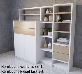 Wohnzimmer-Kommode-Kernbuche-weiss-lackiert-kiesel-5-Projekt104-51-8-P-1.jpg