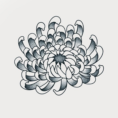 Water Lily