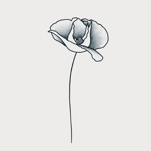 Poppy
