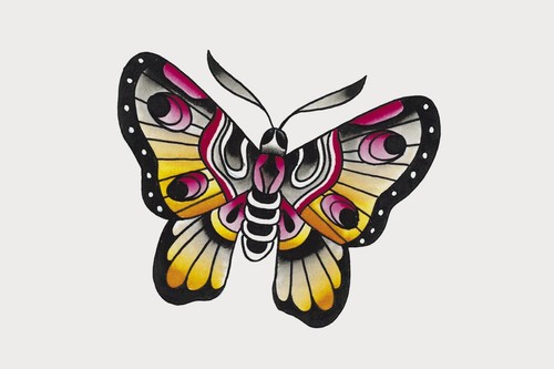 Butterfly