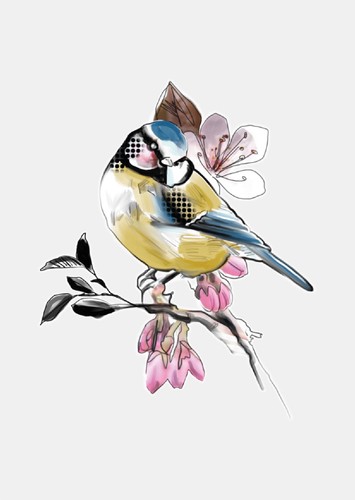Titmouse