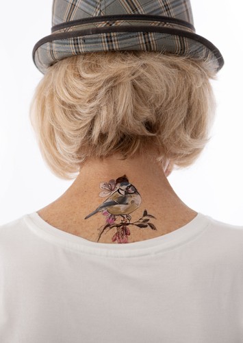 Titmouse