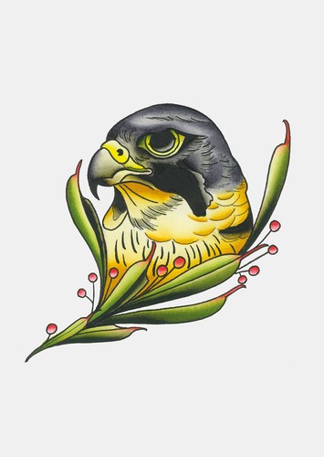 Bird