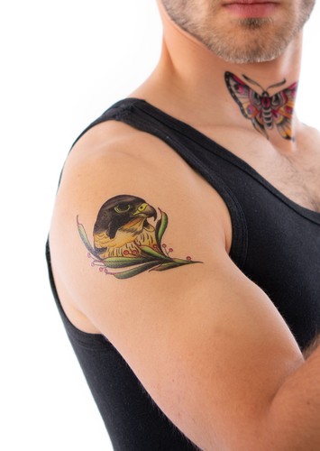 Bird