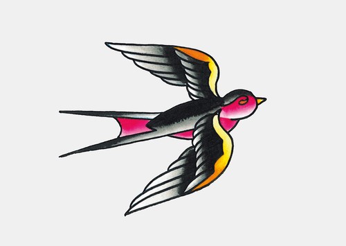 Swallow
